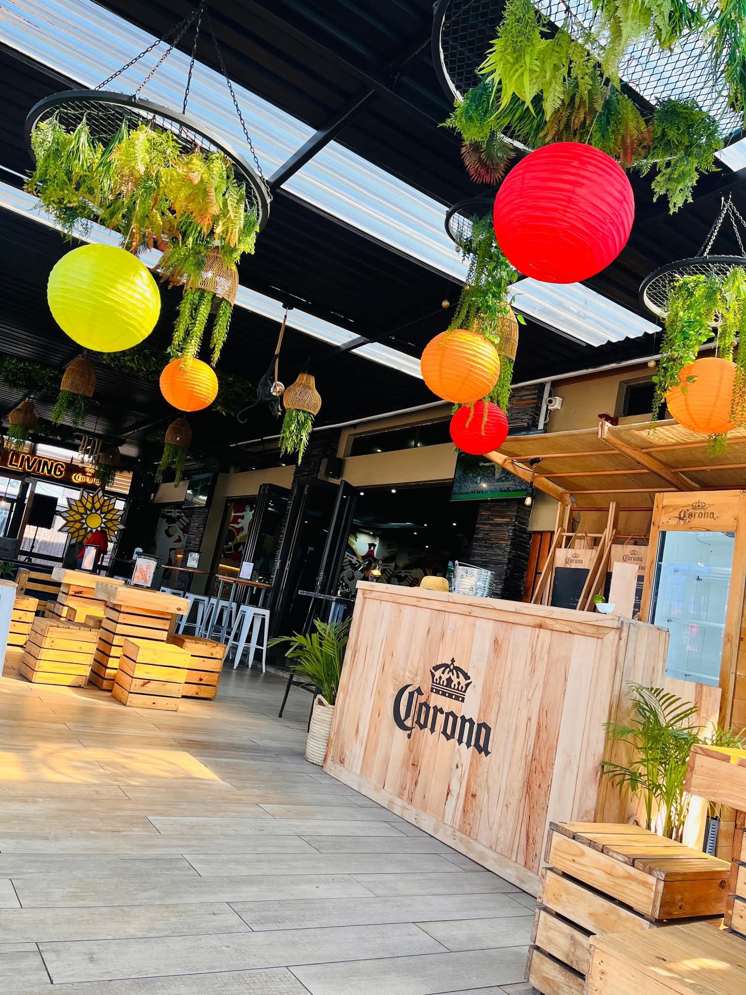 About MacNose Cafe